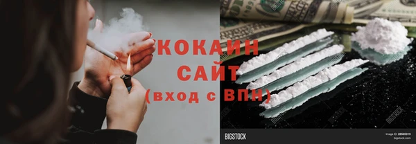 индика Армянск