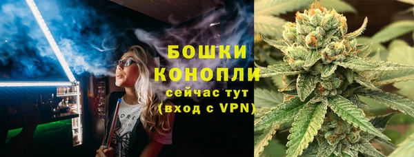 индика Армянск