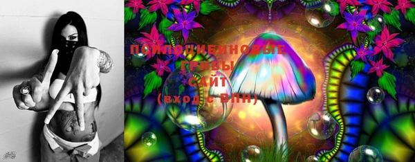 индика Армянск