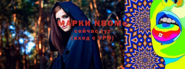 индика Армянск