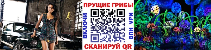 Купить где  Духовщина  Галлюциногенные грибы GOLDEN TEACHER 